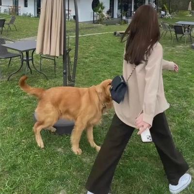 阳光女子合唱团